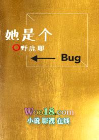 她是个bug封面